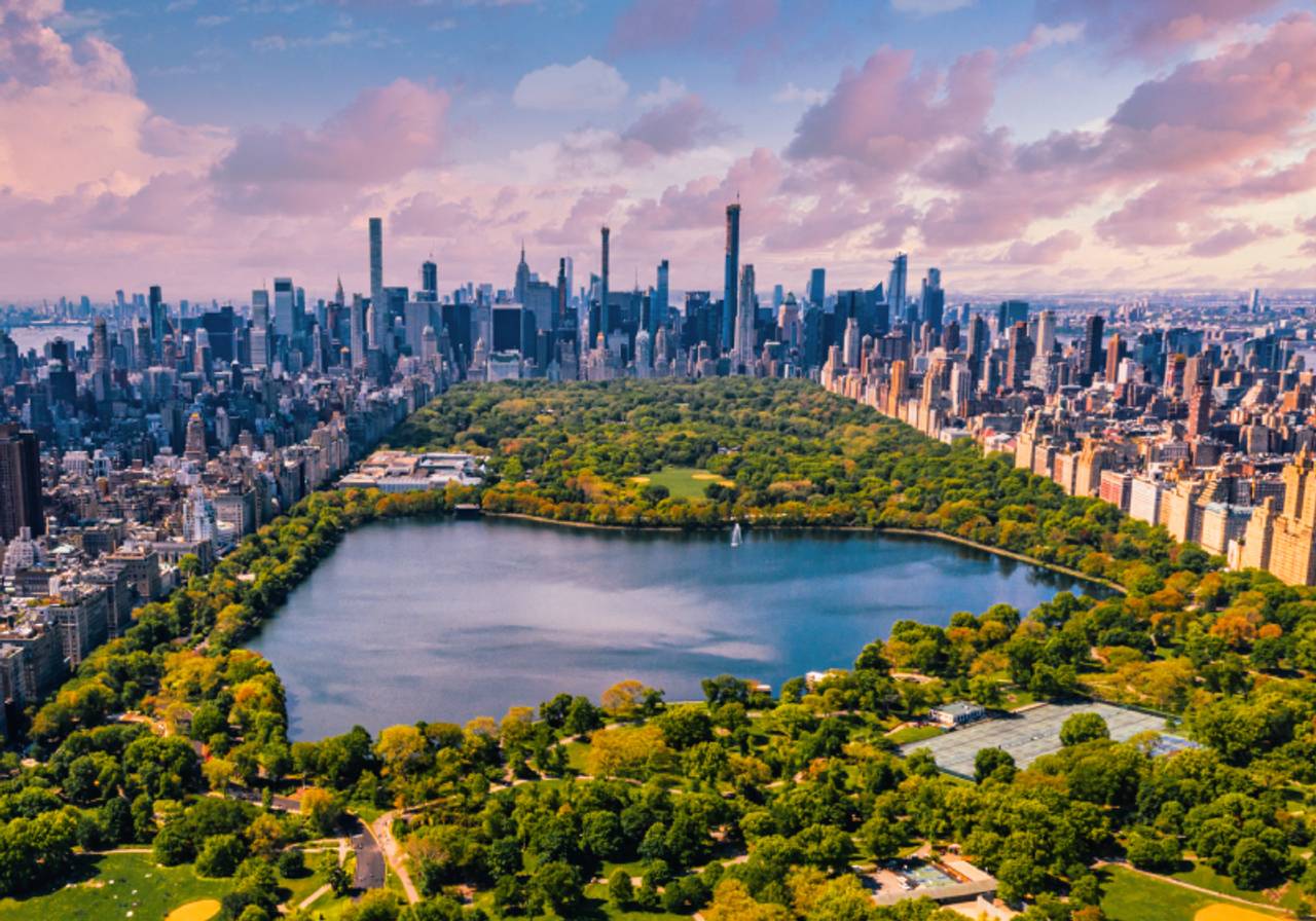 imagem da Central Park de Nova York