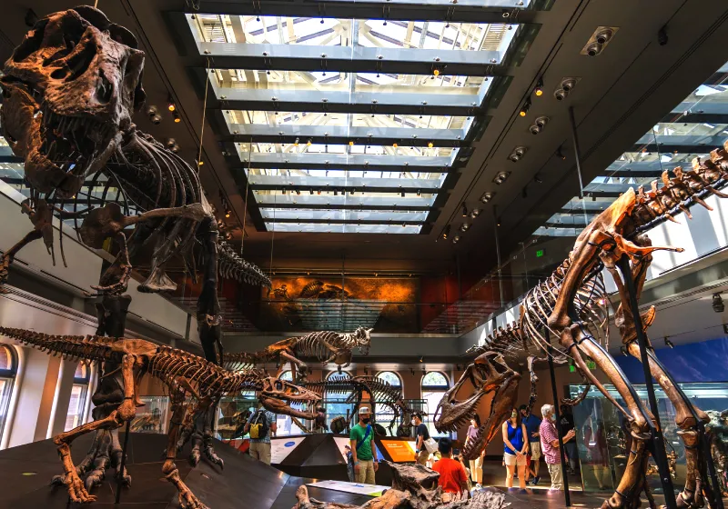 museu de dinossauro