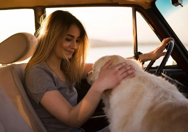 mulher sentada no banco do carro dirigindo e fazendo carinho no cachorro que esta ao seu lado 