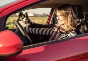 Mulher feliz dirigindo o carro com seu cachorro
