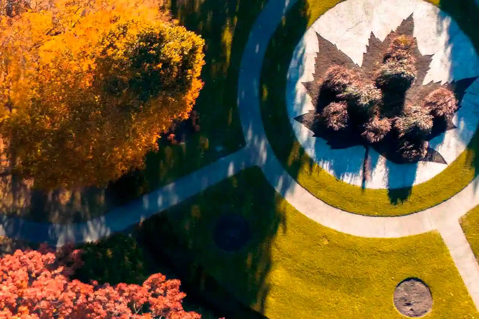 Imagem vista de cima de árvores, grama e caminhos de um park no outono no Canada 