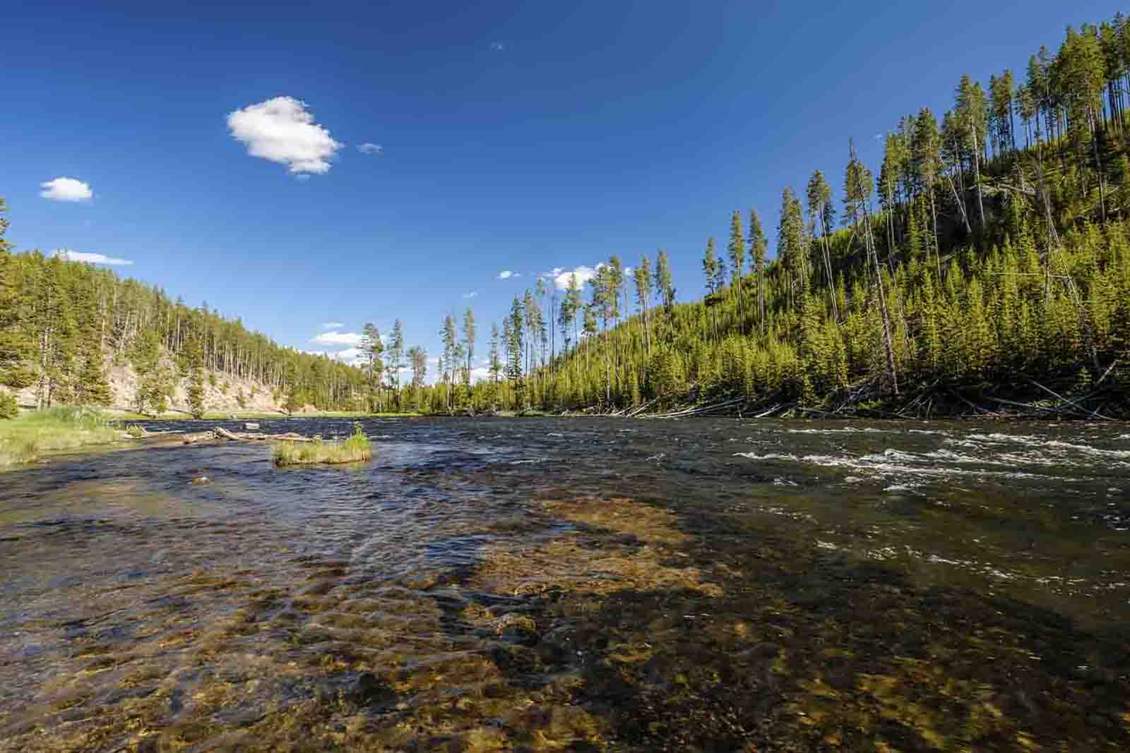 Imagem do Yellowstone National Park, com muitas árvores ao redor, um vasto lago e o céu azul com poucas nuvens 