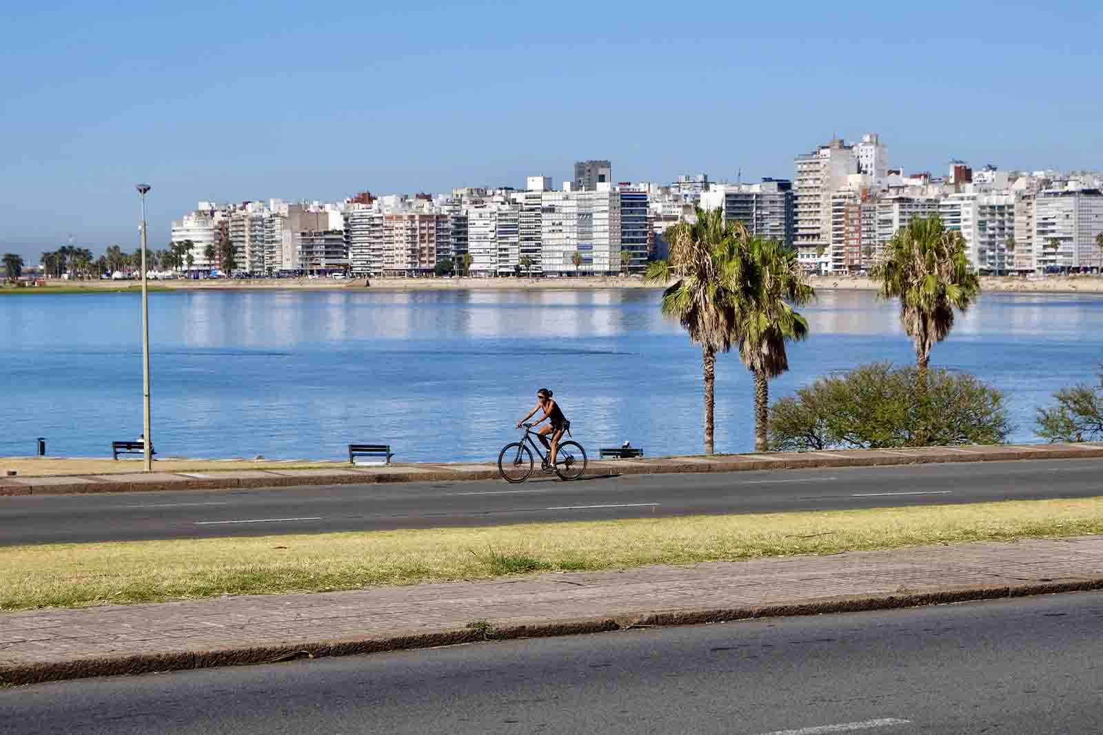 Imagem de uma pessoa andando de bike, perto de uma praia em Montevidéu no Uruguai, com diversos prédios ao fundo, durante o dia, com o céu azul. 