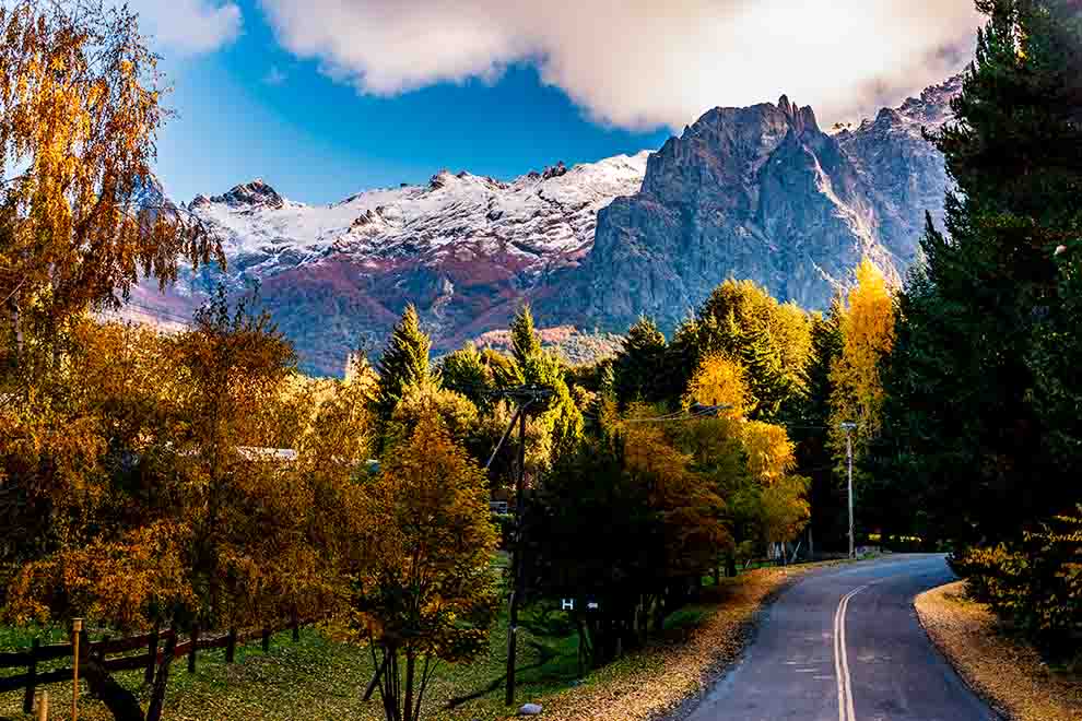 Caminho rodeado por árvores e montanhas nevadas