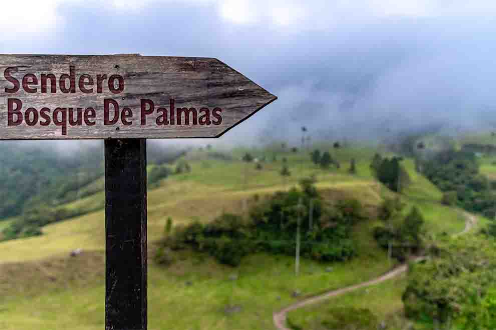 Placa indicando o Sendero Bosque de Palmas