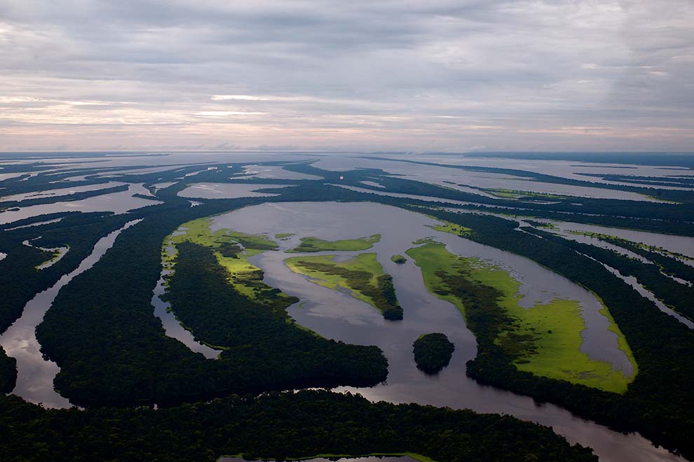Vista aérea de rios e florestas amazônicas