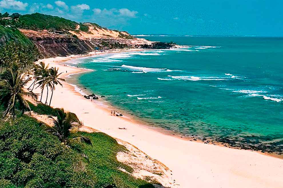 Praia paradisíaca com águas cristalinas e palmeiras ao fundo