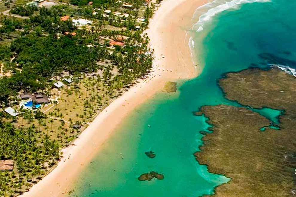 Vista aérea da praia com águas cristalinas e vegetação