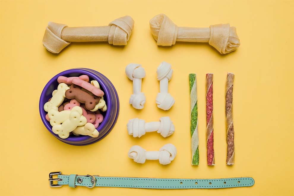 Diversos petiscos e brinquedos para cães em fundo amarelo.